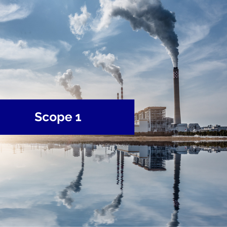 Scope 1