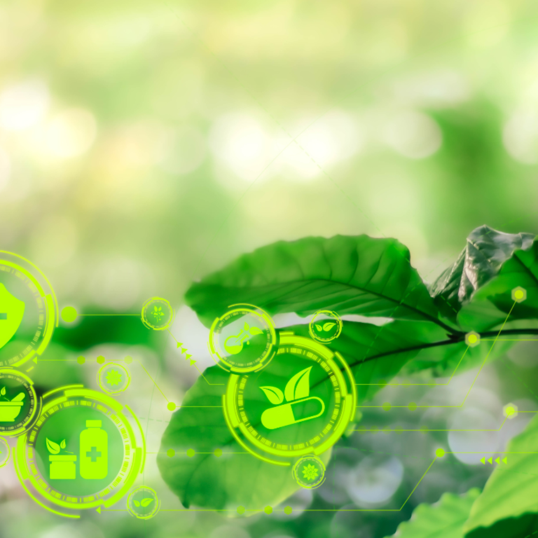 Sustainability 2