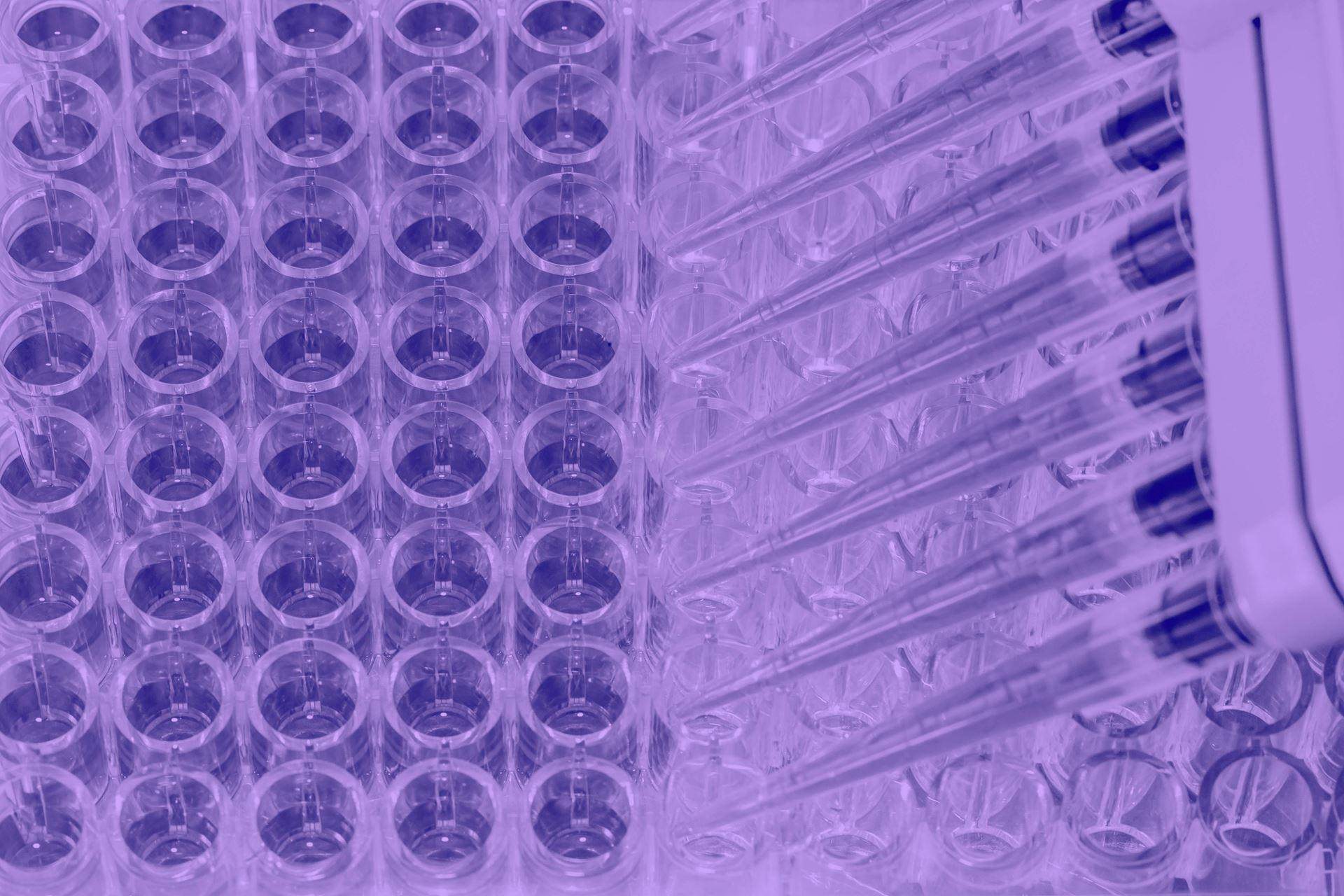 Cell culture 3