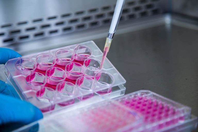 BioXPro Amino Acid Banner