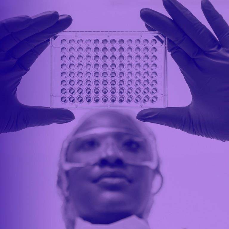 virodex