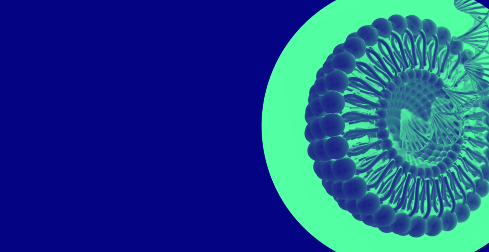 核酸给药系统 - 我们的产品