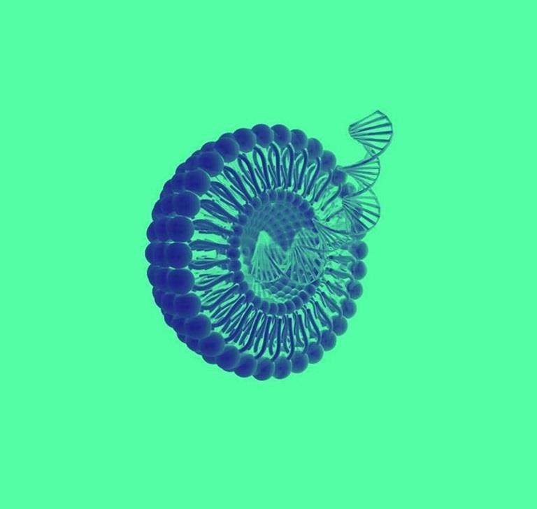 核酸给药系统 - 我们的产品