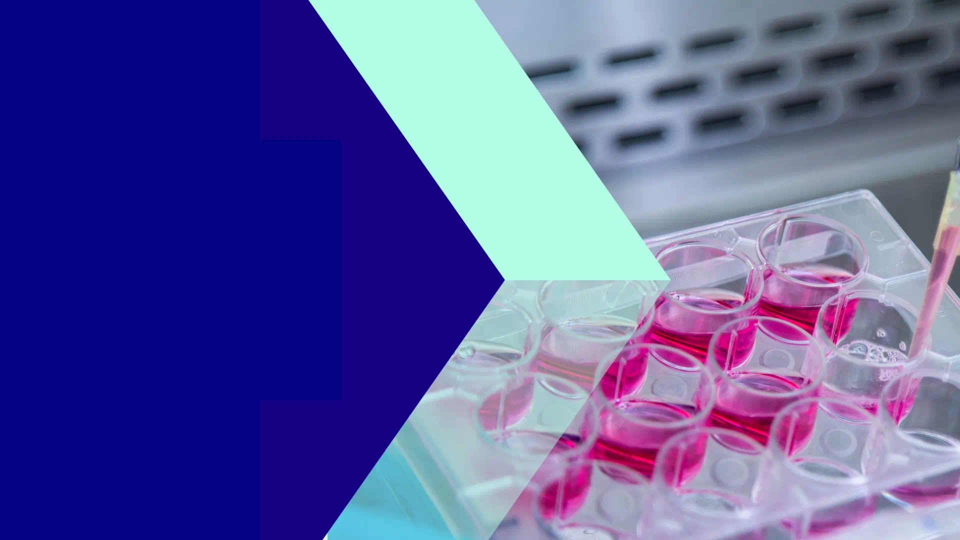 expand your bioprocessing potential