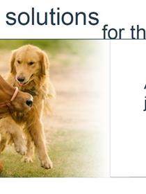 Veterinary medicine tour in Croda cover