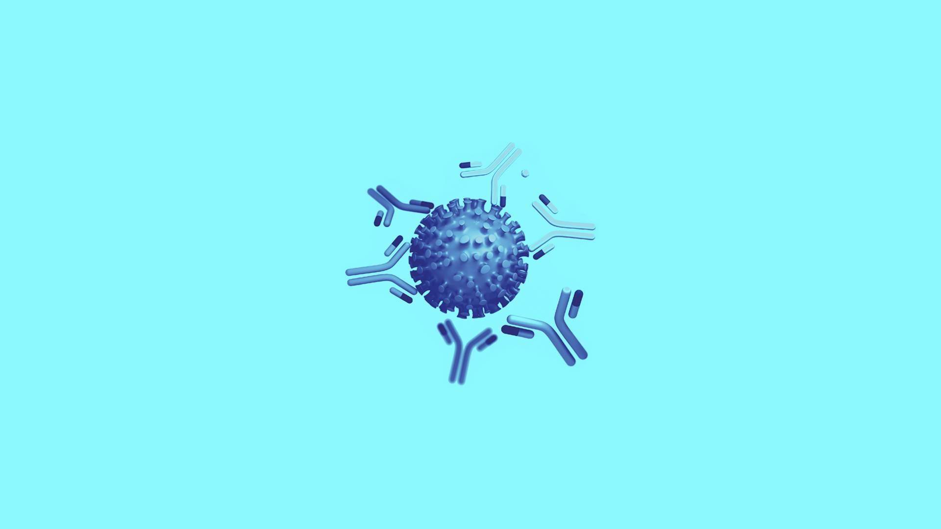 020201