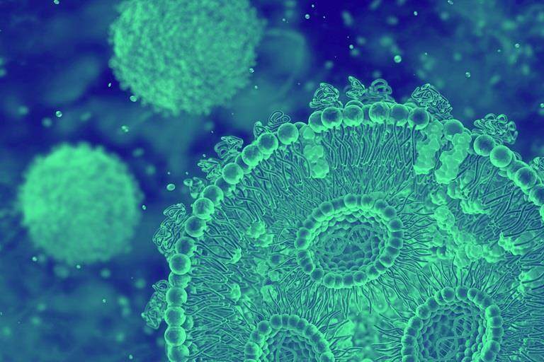 1130 nucleic acid cover