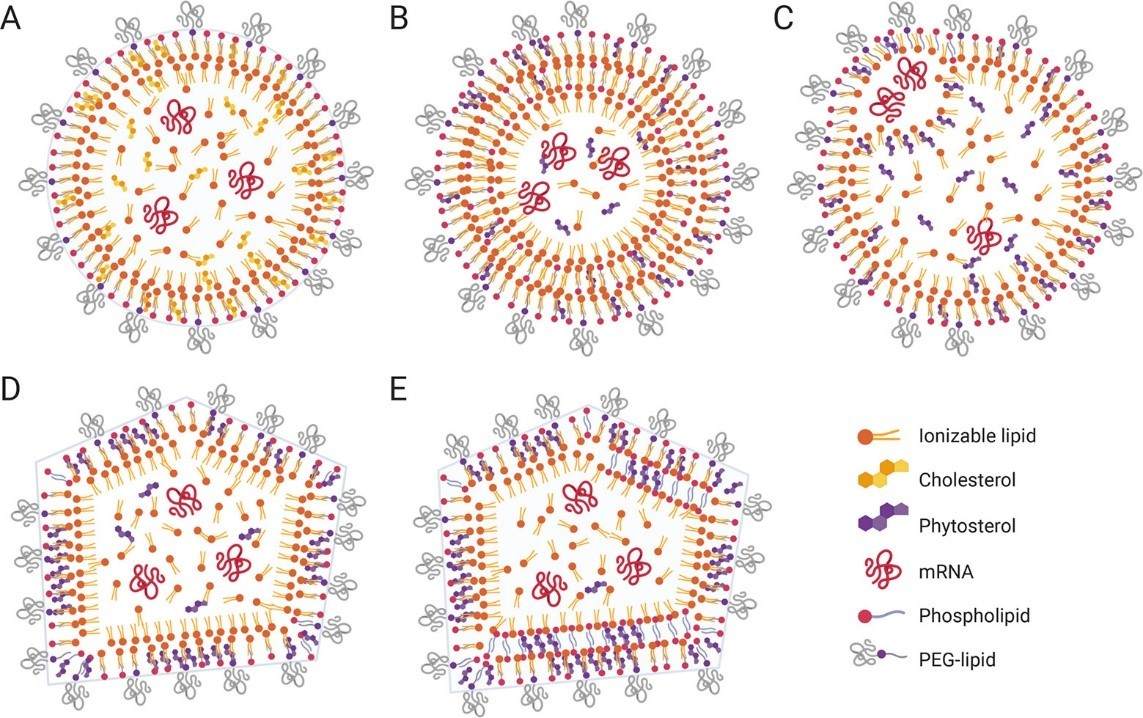 ProposedLNPStructures