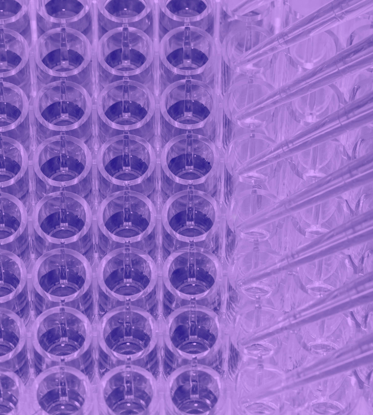 泊洛沙姆188 研讨会 图片