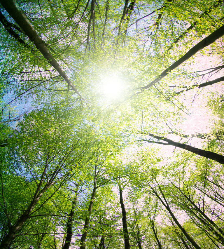 250821 pcf blog banner