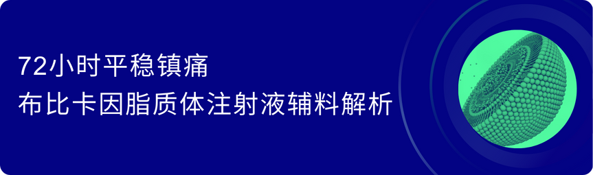 Bupicacaine excipients