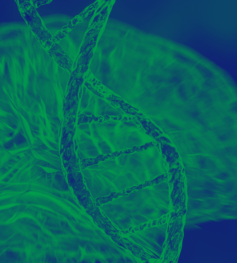 ABCA7在神经元健康与心磷脂代谢中的关键作用