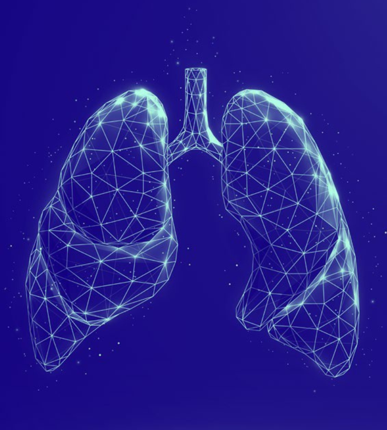 肺部给药的高纯度药用辅料