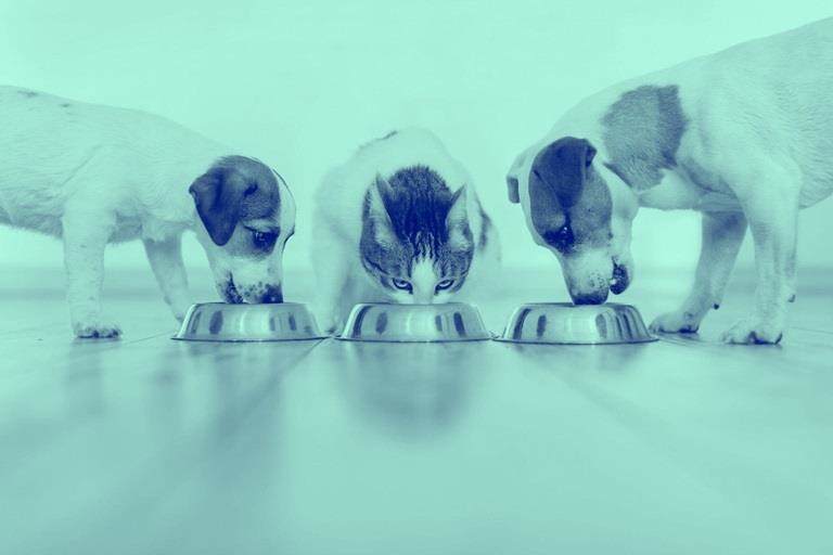 shutterstock 1432318712