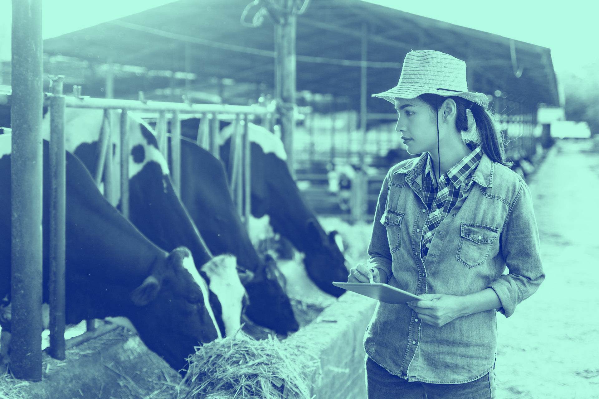 shutterstock 143529781