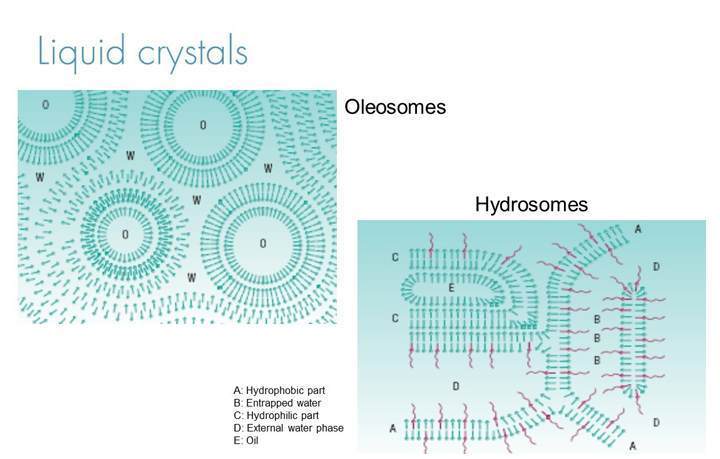 Liquid crystals diagram